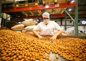 Centroamérica crecerá un 3.4 % en 2025, liderada por Guatemala
