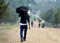 migración nicaragüense