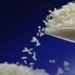 El número de productores de arroz en Costa Rica baja un 54 % en dos años, advierte gremial