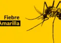 Ministerio de Salud de Costa Rica reporta caso sospechoso de fiebre amarilla