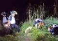 Guatemala: investigación revela pugna entre pandillas y “Los Caradura”, grupo ligado al narcomenudeo y trata de personas