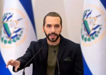 Bukele busca apoyo internacional para rescatar perros y gatos callejeros en El Salvador