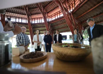 Guatemala y Taiwán fortalecen la cooperación para desarrollar la industria sostenible del bambú