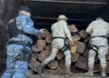 INTERPOL lanza operativo contra crímenes ambientales en 6 países centroamericanos