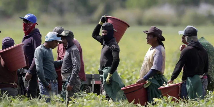 Más de 3.5 millones de inmigrantes irregulares en Estados Unidos son centroamericanos