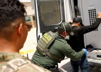 Detención de migrantes del Triángulo Norte cae más del 85% en Estados Unidos y México, según la OIM