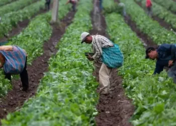 Guatemala ejecuta más de $5.5 mil millones en desarrollo local sin dejar resultados reales, según evaluación oficial