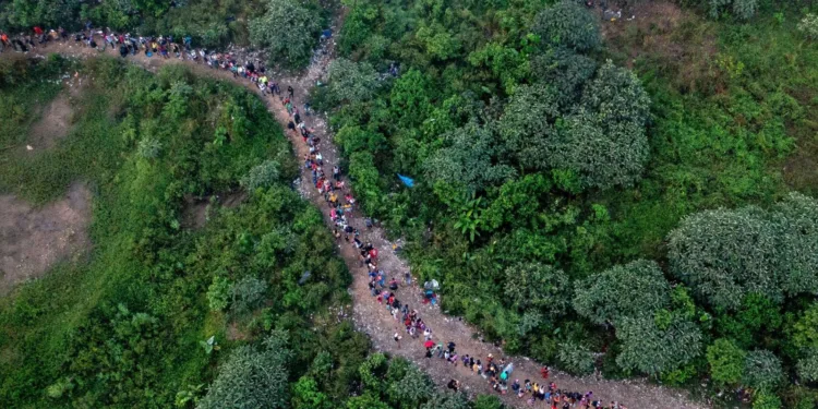 Medio millón de migrantes pagó hasta 10 mil dólares para cruzar el Darién: el negocio del crimen en Centroamérica