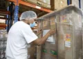 El 21 % de las exportaciones de Panamá son camarones y banano