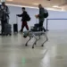 Guatemala impulsa controles sanitarios en aeropuerto La Aurora con un robot
