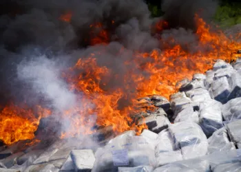 El Salvador destruye más de una tonelada de cocaína incautada a tres ecuatorianos, valorada en más de $45 millones