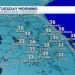 Ola de frío en EE UU provoca temperaturas bajo cero y caída de iguanas en Florida