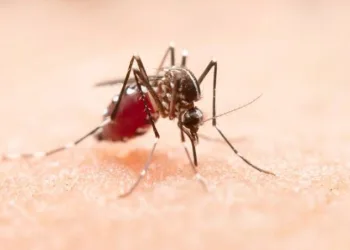 El Salvador confirma 107 casos de malaria importada y activa protocolo de vigilancia para evitar transmisión local