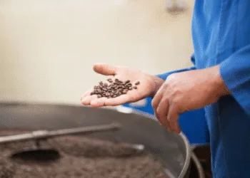 Las exportaciones de Guatemala crecen 7.4 % a septiembre, con el café como su principal producto