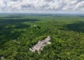 Bosques de Centroamérica, claves para la migración de aves, sufren pérdidas críticas en Guatemala, Honduras y Nicaragua