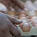 Honduras tiene la inflación más alta de Centroamérica, pero gobierno dice que está controlada