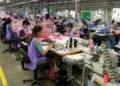 Guatemala y El Salvador lideran tasas de empleo en la región