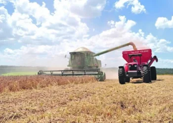 Análisis revela que economía paraguaya se vería duramente afectada en caso de un giro diplomático a China  