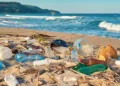 Cada minuto en las playas de Costa Rica y El Salvador se registran hasta 3 residuos plásticos por persona