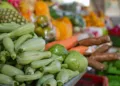 Centroamérica conserva su vocación agrícola, aunque su peso en el PIB se reduce