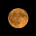 Centroamericanos a mirar el cielo en diciembre: fenómenos astronómicos iluminarán la región