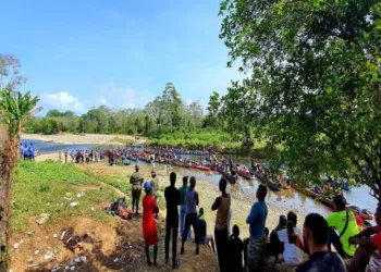 El paso de migrantes por la selva panameña del Darién ha caído un 95 % en 2025