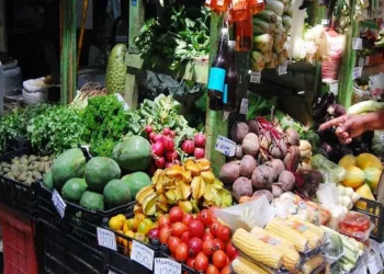 Alimentos, transporte y vivienda lideran el gasto en los hogares de Costa Rica, según Encuesta de Hogares
