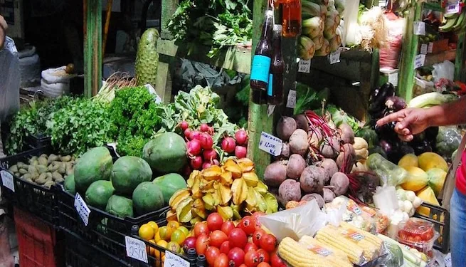 Alimentos, transporte y vivienda lideran el gasto en los hogares de Costa Rica, según Encuesta de Hogares