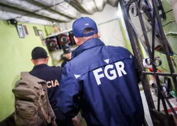 Autoridades salvadoreñas desarticulan banda que ofrecía visas falsas de trabajo en EEUU