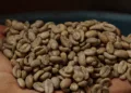 Exportaciones de Guatemala superan los $11,800 millones, ya alcanzan el 77 % de la meta de 2025