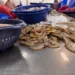 La Unión Europea y Taiwán, principales mercados de mariscos guatemaltecos en 2025