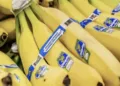 Chiquita retoma producción de banano en Panamá tras conflicto laboral del año pasado