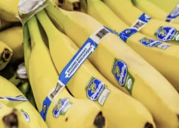 Chiquita retoma producción de banano en Panamá tras conflicto laboral del año pasado