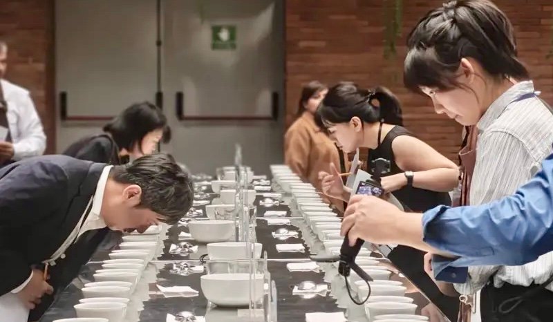 Taiwán impulsa importaciones de café de Guatemala y busca superar las 700 toneladas anuales