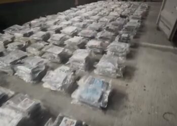 Panamá incauta 1,251 paquetes de droga en contenedor con destino a Lituania