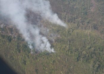 Más de 30,000 hectáreas fueron consumidas por 447 incendios en el Parque Internacional La Amistad, en Costa Rica en casi una década