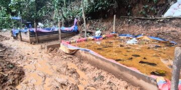 Las capturas por minería ilegal en Costa Rica suman casi 500 detenidos en lo que va del año