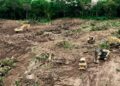 Gobierno de Bukele ajusta narrativa por tala de árboles en proyecto financiado por China en El Salvador