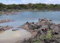 Lago de Güija baja de nivel por la sequía extrema entre El Salvador y Guatemala