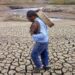 El Salvador, Honduras y Belice, los países de Centroamérica más afectados por El Niño en los próximos tres meses