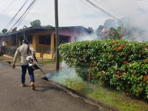 Panamá en alerta por más de 4,900 casos confirmados de dengue