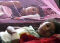 Honduras supera los 8,000 casos de dengue y confirma cuatro muertes en 2026