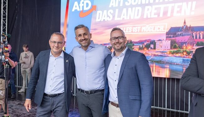 Aunque no llegue a formar Gobierno, el partido ultraderechista AfD sacude el tablero de la política alemana