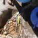 Poblados sin acceso a agua potable en Costa Rica sufren alta incidencia de parásitos intestinales