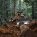 Nicaragua pierde 247 hectáreas de bosque primario en una semana en medio del auge minero chino