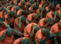 Con uniforme naranja y rapados, así trasladó Costa Rica a los primeros 123 reos a su megacárcel