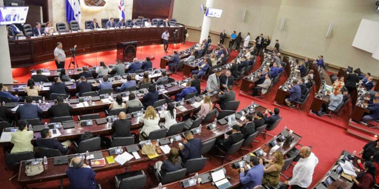 Diputados hondureños proponen crear padrón especial de personas con discapacidad para facilitar el voto en las próximas elecciones