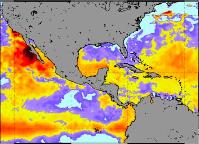 Los arrecifes de coral del Pacífico centroamericano mantienen alerta por calor