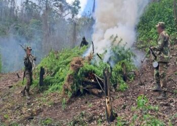 Ejército de Nicaragua mata a dos hombres en operativo militar en el Caribe