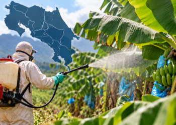 Costa Rica utiliza diez veces más pesticidas que promedio mundial, según investigación
